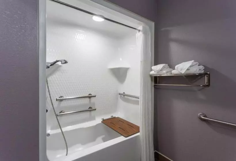 Standard-invahuone, Microtel Inn & Suites By Wyndham Bethel/danbury