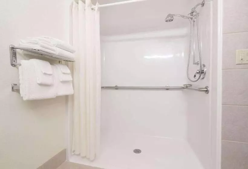 身障者適用スタンダードルーム, Microtel Inn & Suites By Wyndham Rice Lake