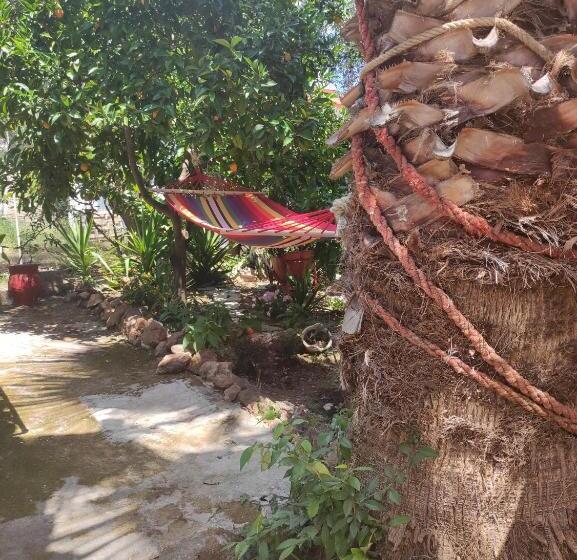 スーペリアールーム, Poseidon Rooms