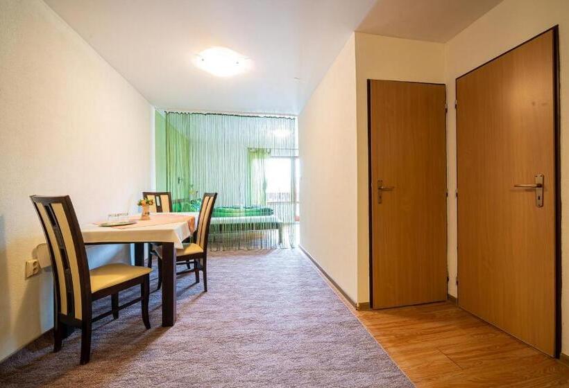 标准间带漩涡浴缸, Rodinný Penzión Rogalo