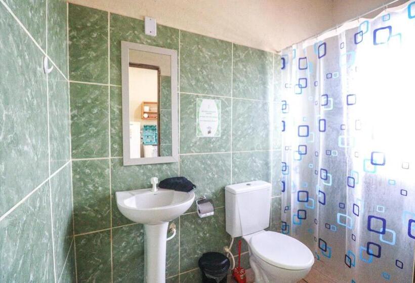 سرير فى غرفة مشتركه, Back To The Beach Hostel Pipa