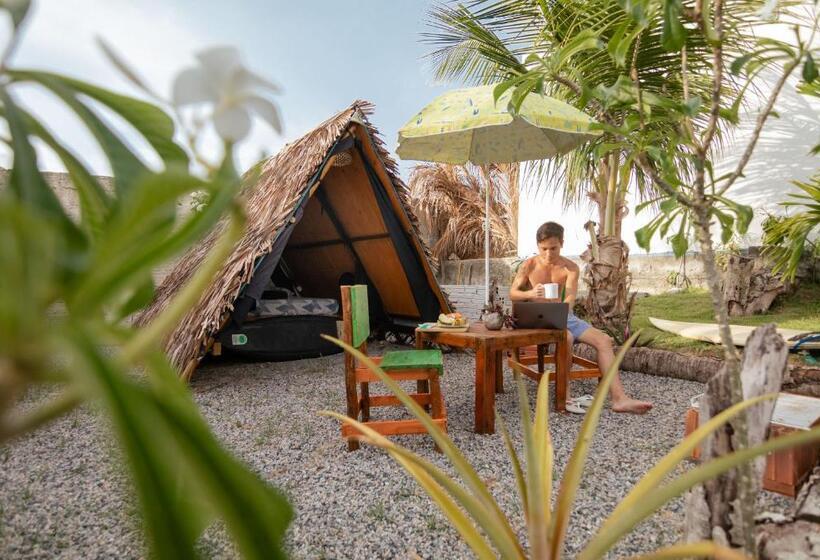 بنجلو قياسى, Back To The Beach Hostel Pipa