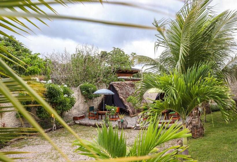 بنجلو قياسى, Back To The Beach Hostel Pipa