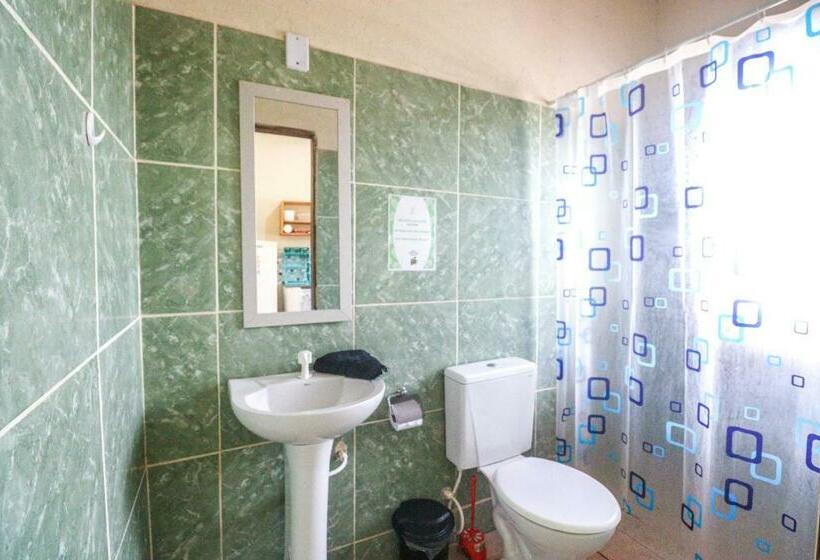 آپارتمان سوپریور 1 خوابه, Back To The Beach Hostel   Pipa