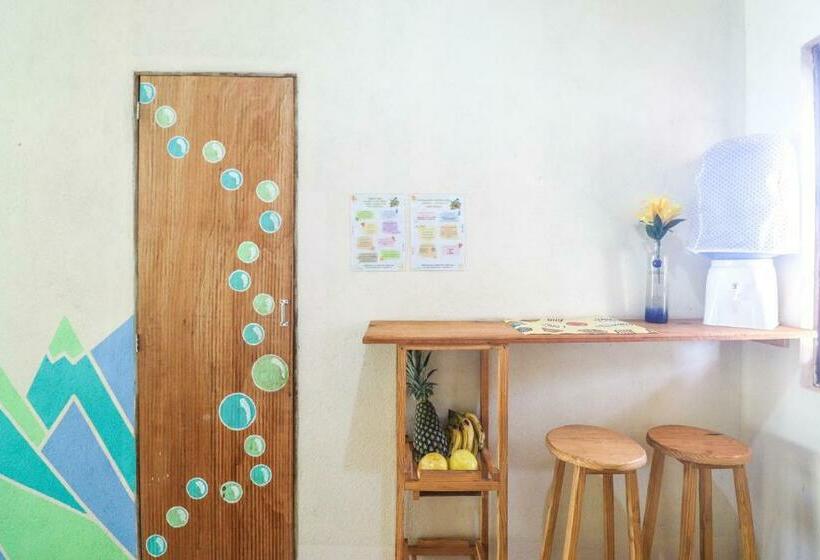 شقة سوبريور غرفة واحدة, Back To The Beach Hostel Pipa