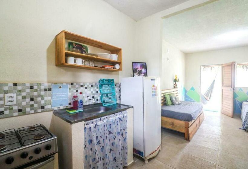 شقة سوبريور غرفة واحدة, Back To The Beach Hostel Pipa