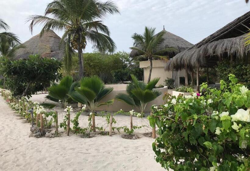 آپارتمان 1 خوابه با چشمانداز دریا, Fortamu Twiga House