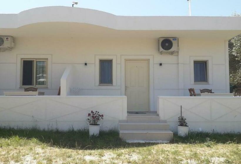 Studio Standard, Vila Juna