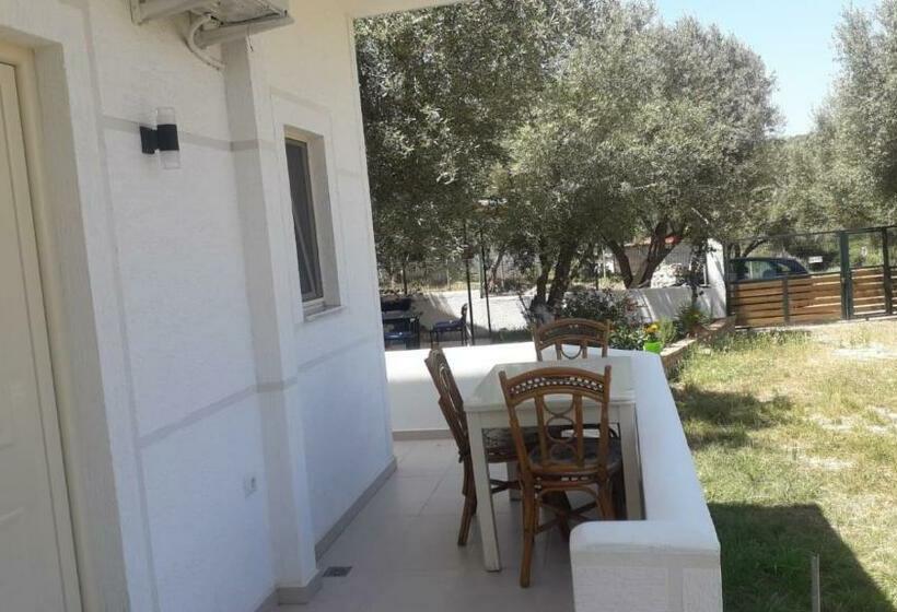 Studio Standard, Vila Juna