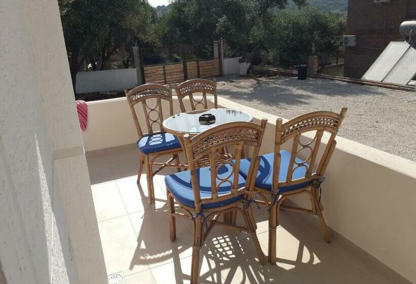 Studio Standard, Vila Juna