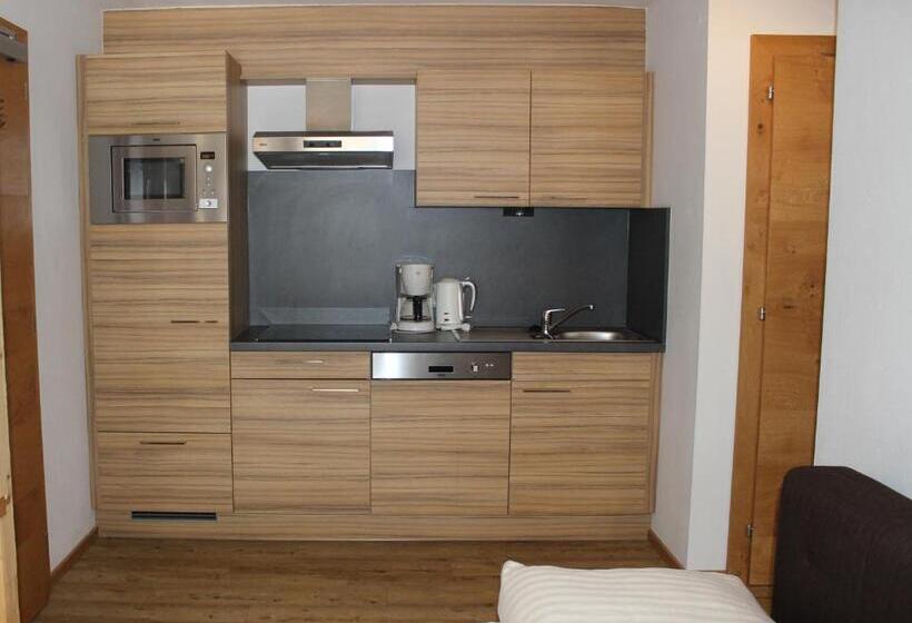 شقة غرفة واحدة, Pension Michael