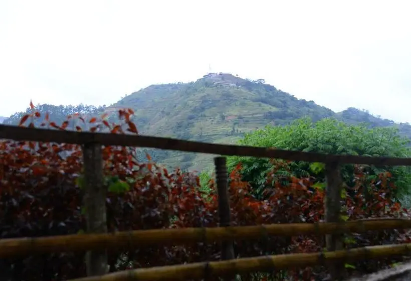 اتاق سوپریور, Serene Cottage Ella