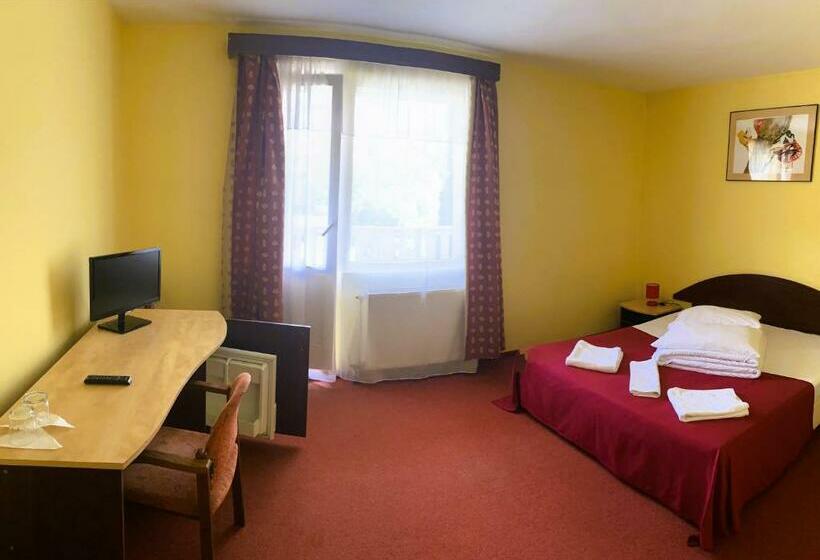 Номер Стандарт, Pensiunea Iris