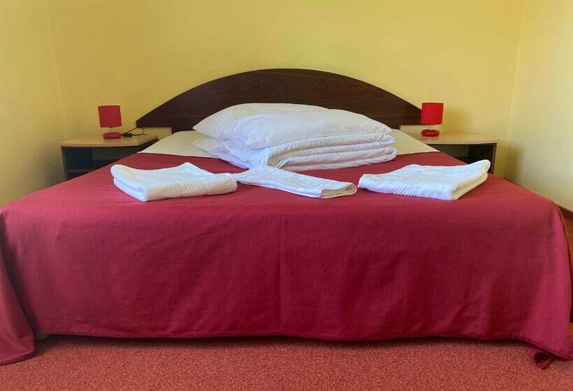 Номер Стандарт, Pensiunea Iris