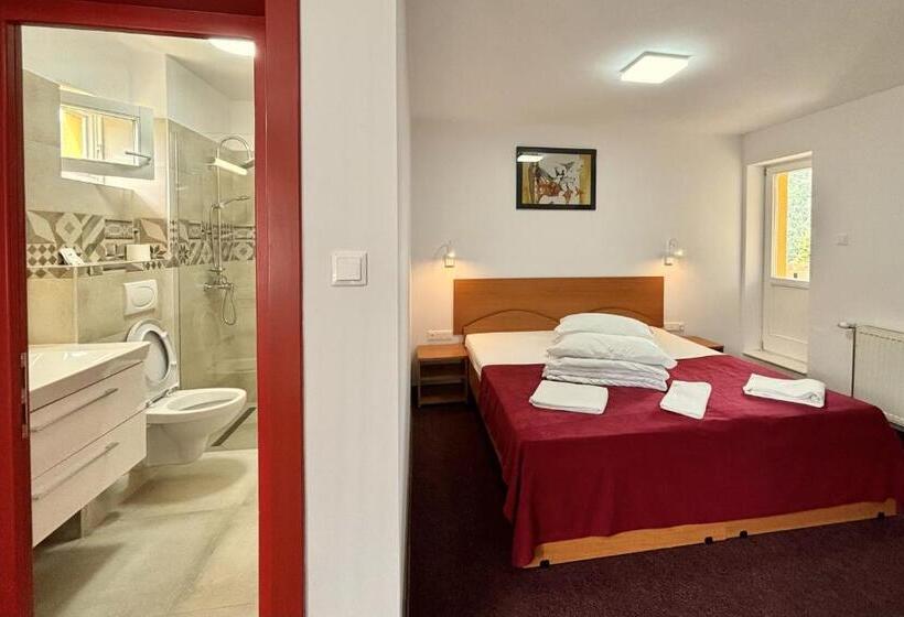 Номер Superior, Pensiunea Iris