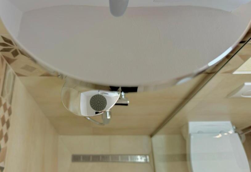 Апартаменты Superior 1 Спальня, Pensiunea Iris