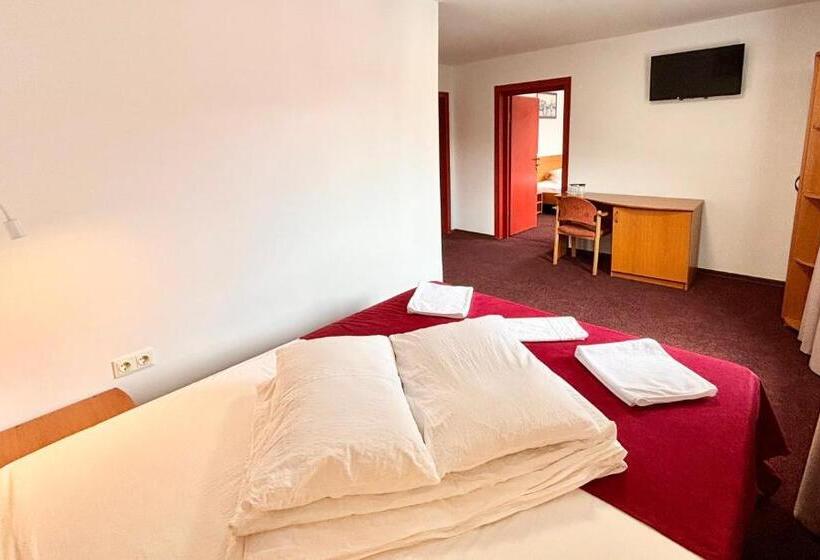 Апартаменты Superior 1 Спальня, Pensiunea Iris