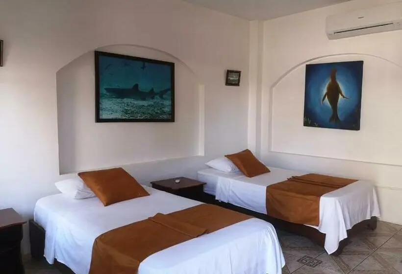 Standard Yhden Hengen Huone, Hostal Sandrita