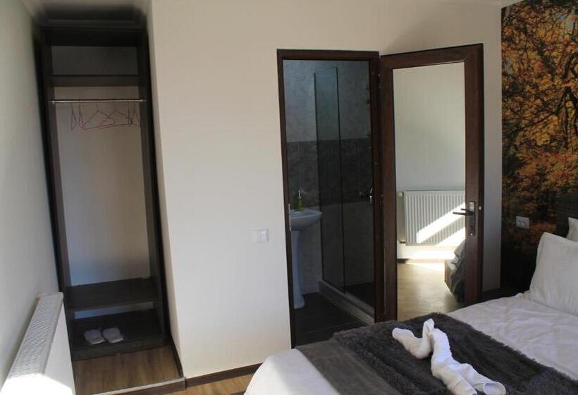اتاق استاندارد با تخت بزرگ, Noa Kazbegi