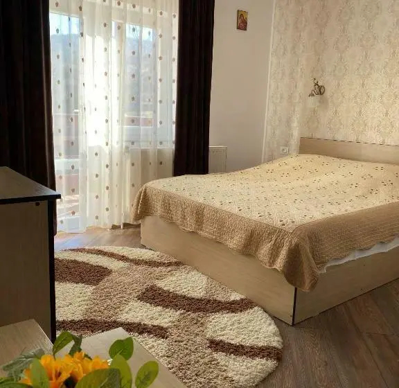 Standard-huone, Pensiunea Casa Alexandra