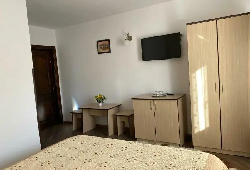Standard-huone, Pensiunea Casa Alexandra