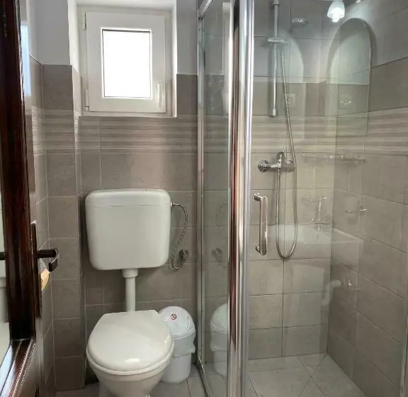 Standard-huone, Pensiunea Casa Alexandra