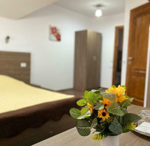 高级大房间, Pensiunea Casa Alexandra