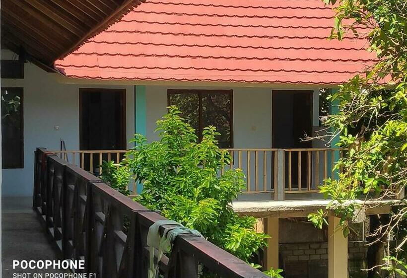 标准间, Lilypad Guest House