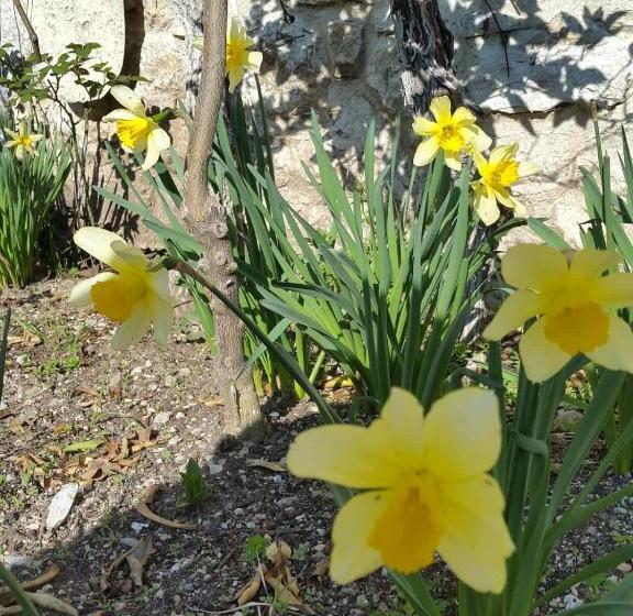 ویلای لوکس 1 خوابه, Lovely Bosnian Home