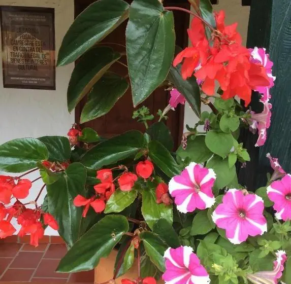 ファミリールーム, Campestre La Casona Villa De Leyva