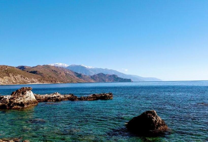 标准工作室, Haris Studios