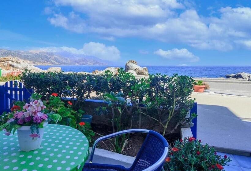 带1个卧室的公寓, Haris Studios