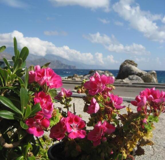 带1个卧室的公寓, Haris Studios