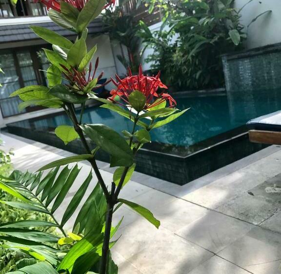 וילה עם חדר שינה אחד ובריכת שחיה, Villa Mudha 3 Sanur