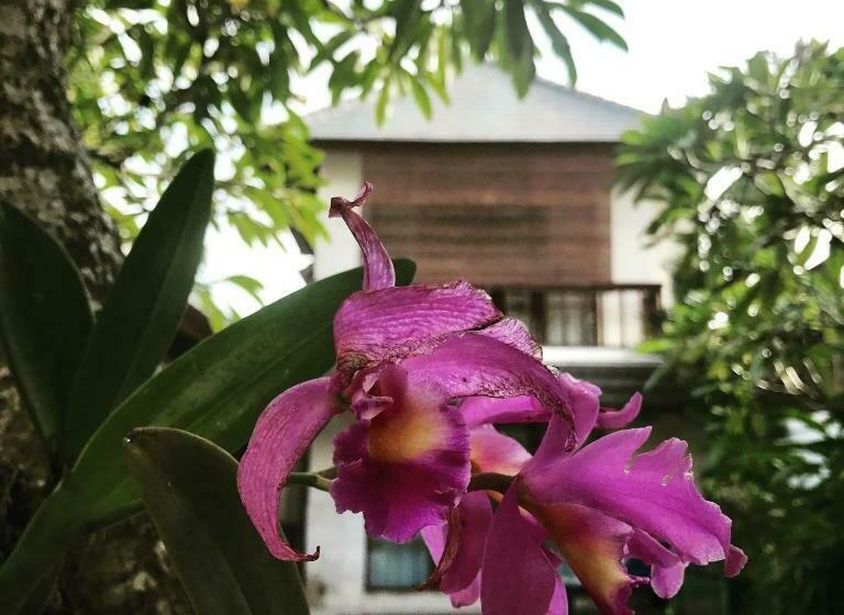 וילה עם חדר שינה אחד ובריכת שחיה, Villa Mudha 3 Sanur