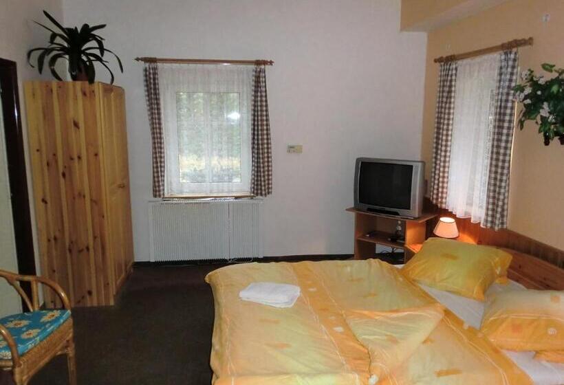 חדר סטנדרט לארבעה, Pension Hela