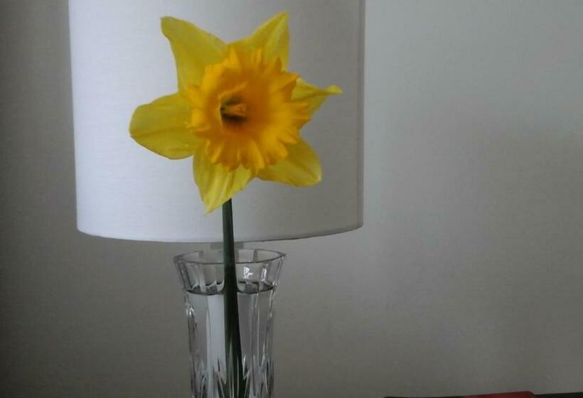 חדר דלוקס, Al And Rosies B+b