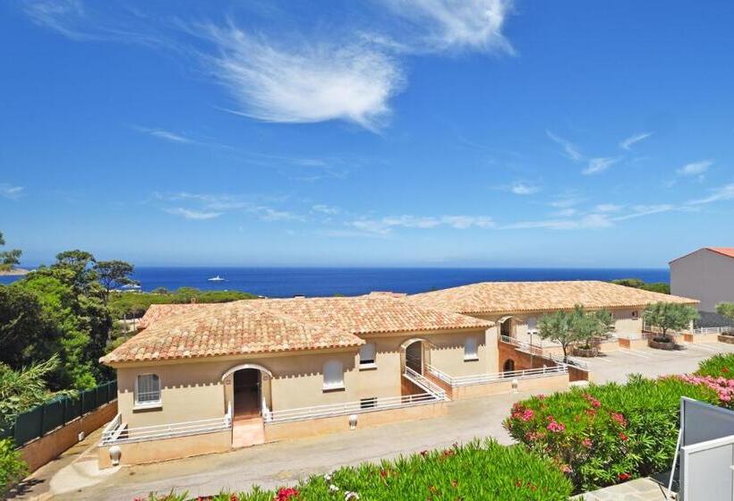 Студия Superior, Calvi Appart Hôtel