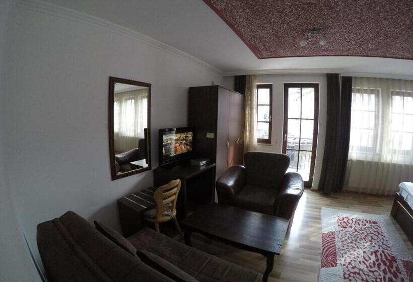 اتاق خانوادگی, Venisi