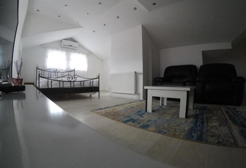 اتاق استاندارد چهار تخته, Venisi