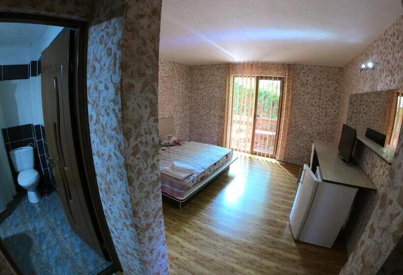 غرفة قياسية, Pension President