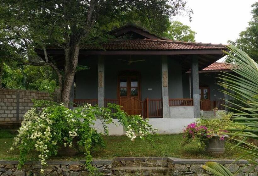 کلبه ییلاقی, Tranquality Chalets