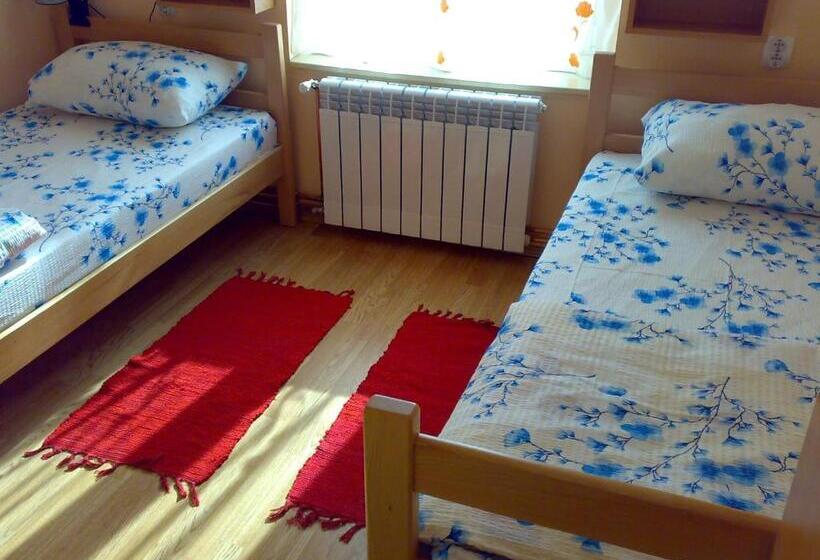 اتاق استاندارد با سرویس بهداشتی مشترک, Hostel M