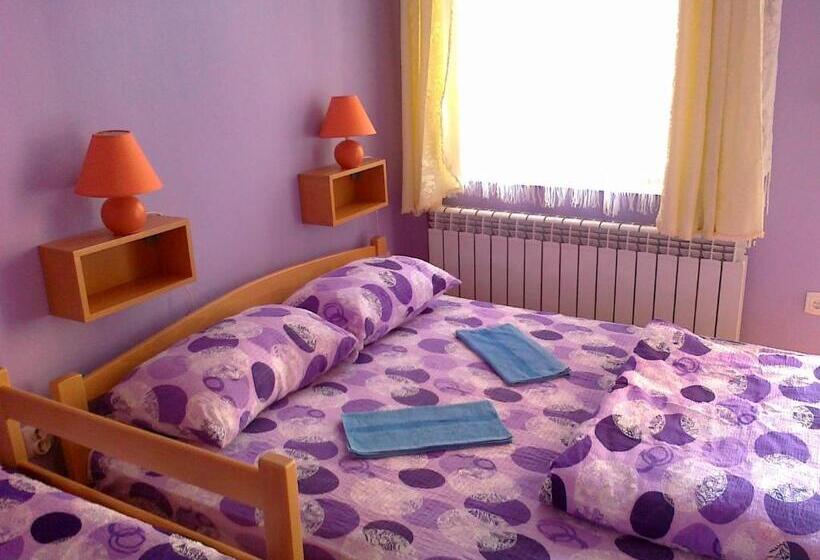 استودیو استاندارد با تراس, Hostel M