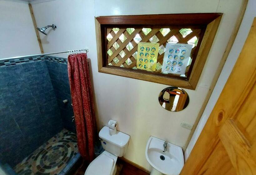 Номер Стандарт, Cabinas Tortuguero