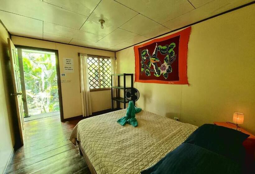 Номер Стандарт, Cabinas Tortuguero