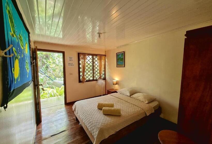 Номер Стандарт, Cabinas Tortuguero