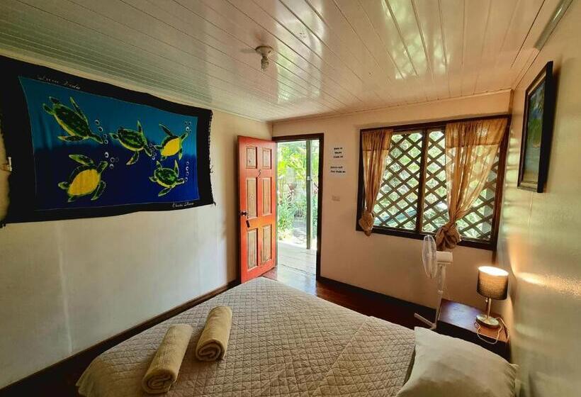 Номер Стандарт, Cabinas Tortuguero
