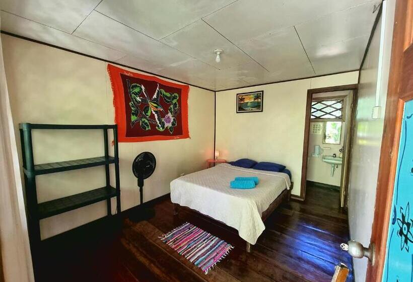 Номер Стандарт, Cabinas Tortuguero