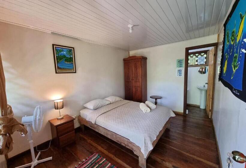 Номер Стандарт, Cabinas Tortuguero
